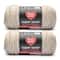 2 Pack Red Heart® Super Saver® Bitty Stripes™ Yarn